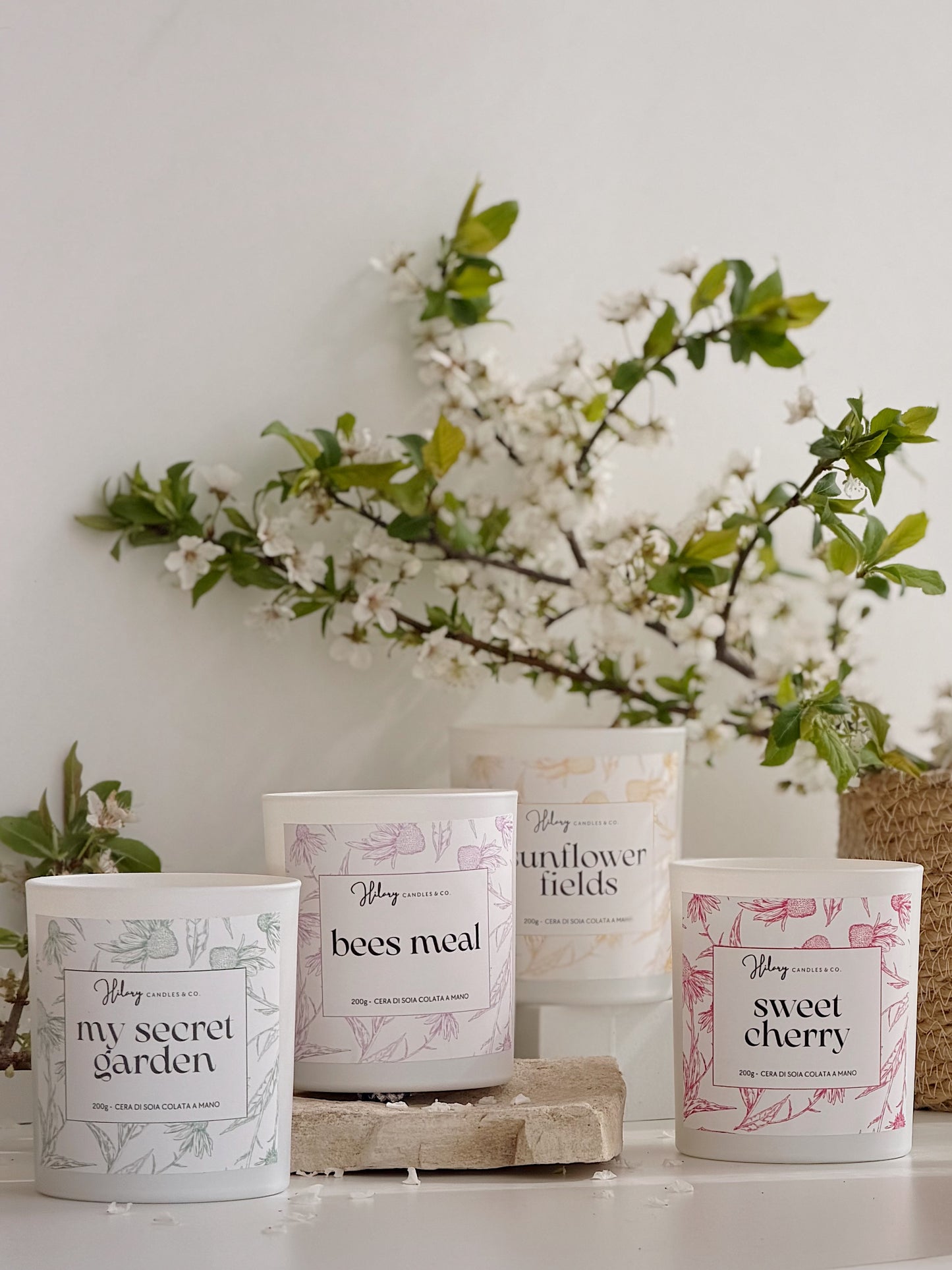 Sunflowers Fields | IL GIARDINO SEGRETO