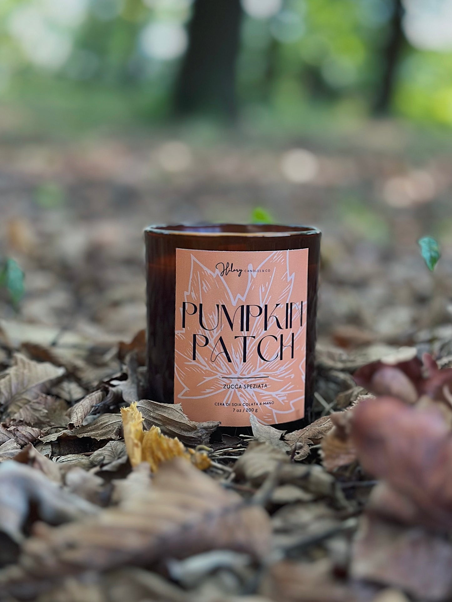 Pumpkin patch | autumn collection