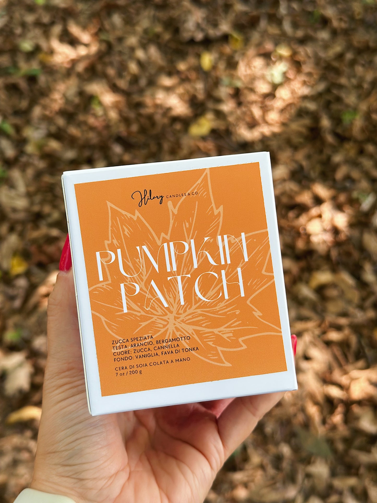 Pumpkin patch | autumn collection