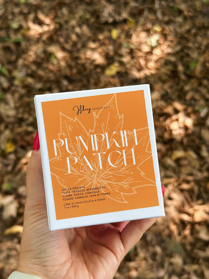 Pumpkin patch | autumn collection