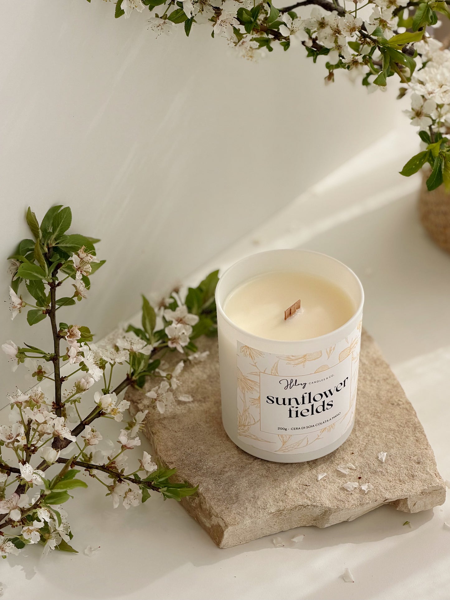 Sunflowers Fields | IL GIARDINO SEGRETO