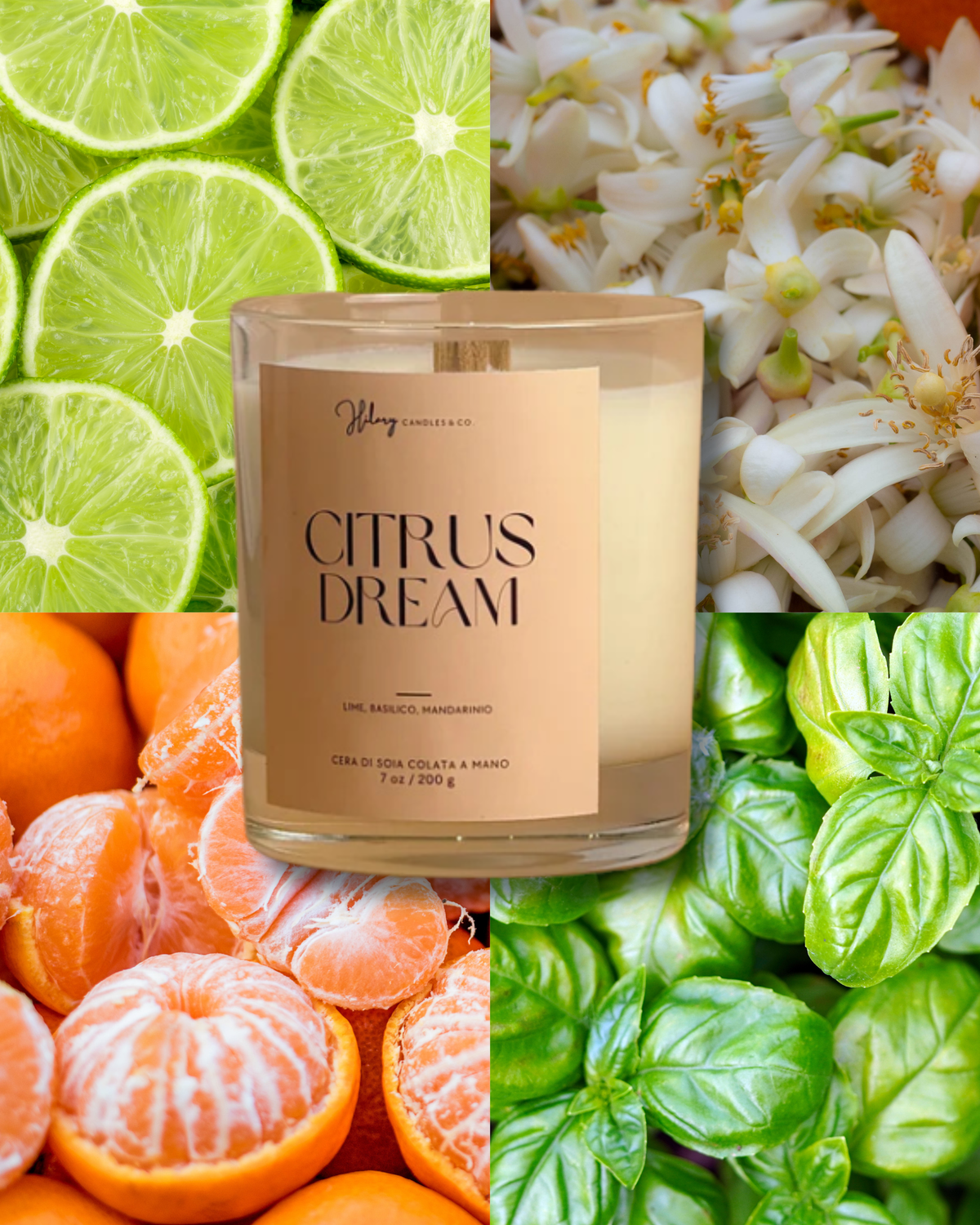 Citrus Dream