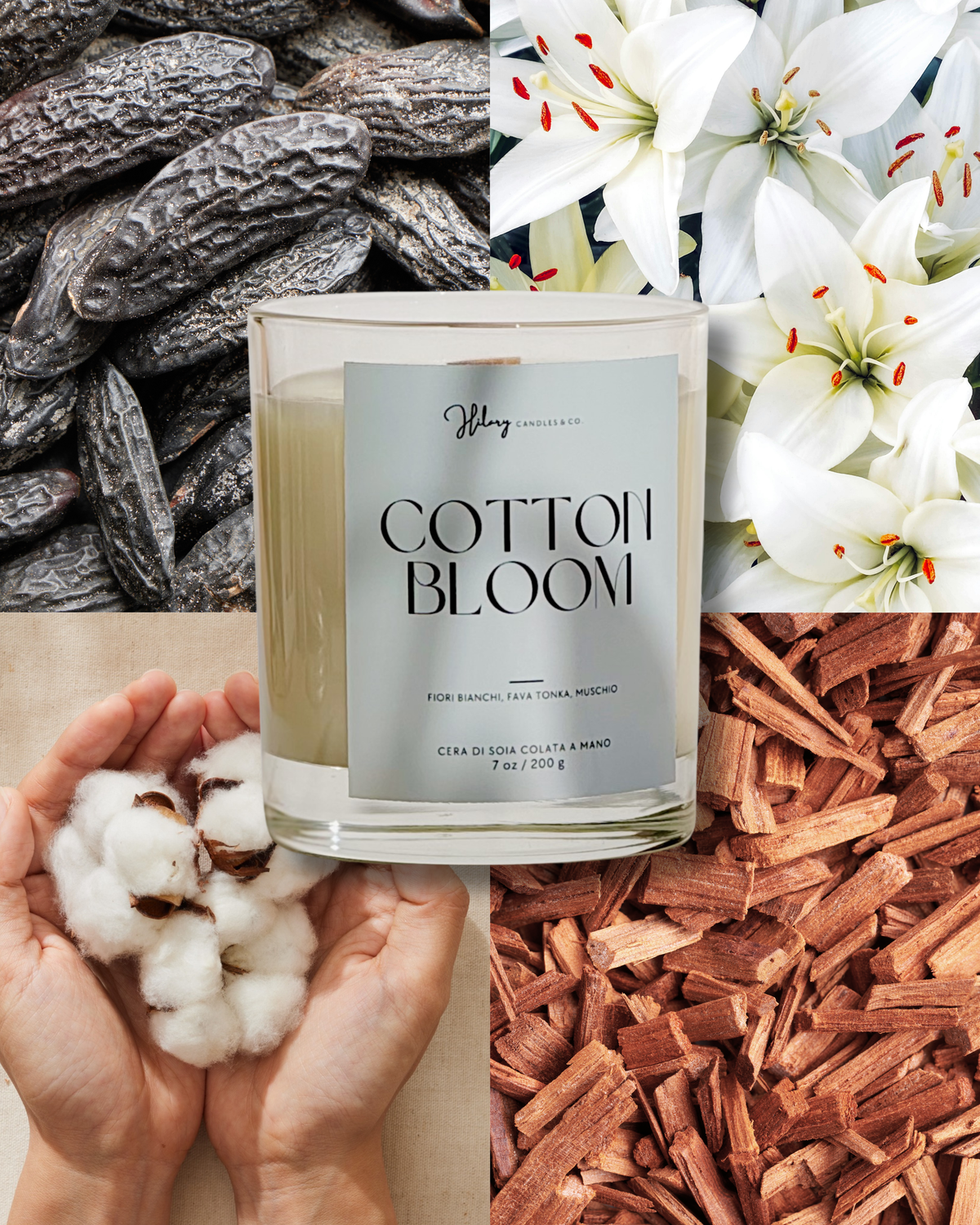 Cotton Bloom