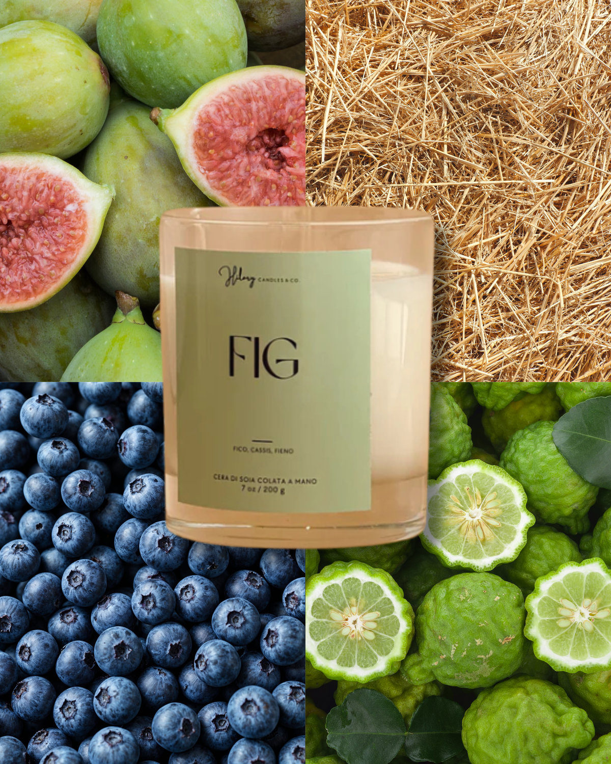 Fig