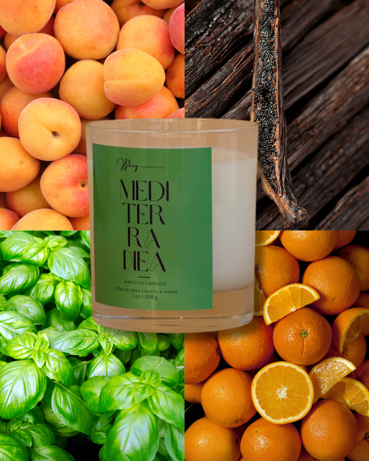Mediterranea