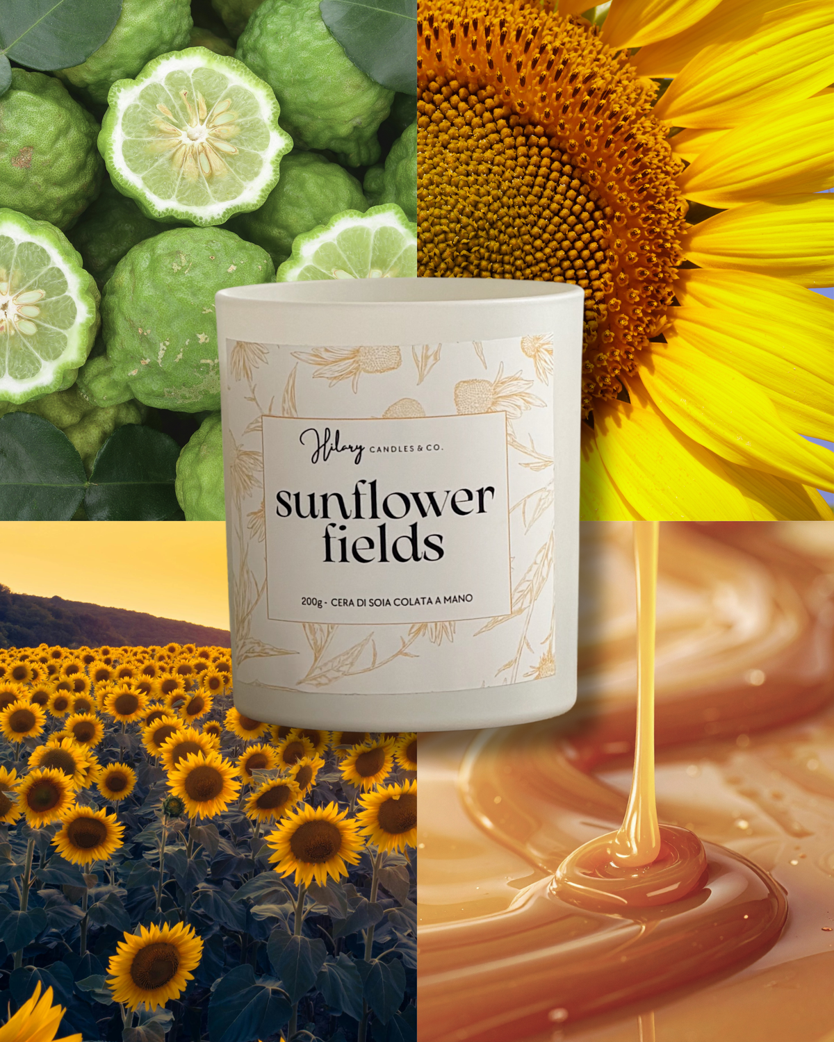 Sunflowers Fields | IL GIARDINO SEGRETO
