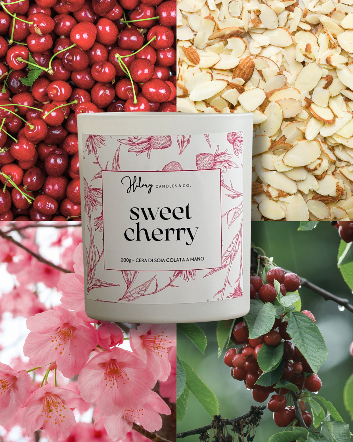 Sweet Cherry | IL GIARDINO SEGRETO